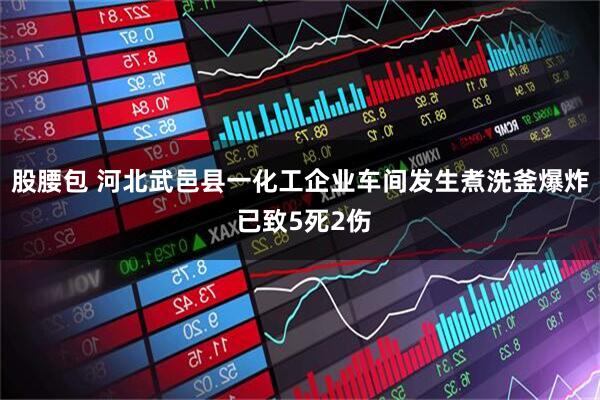 股腰包 河北武邑县一化工企业车间发生煮洗釜爆炸 已致5死2伤