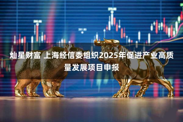 灿星财富 上海经信委组织2025年促进产业高质量发展项目申报