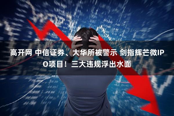 高开网 中信证券、大华所被警示 剑指辉芒微IPO项目！三大违规浮出水面