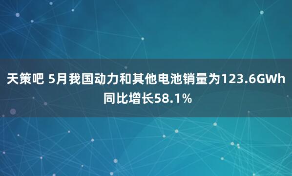 天策吧 5月我国动力和其他电池销量为123.6GWh 同比增长58.1%