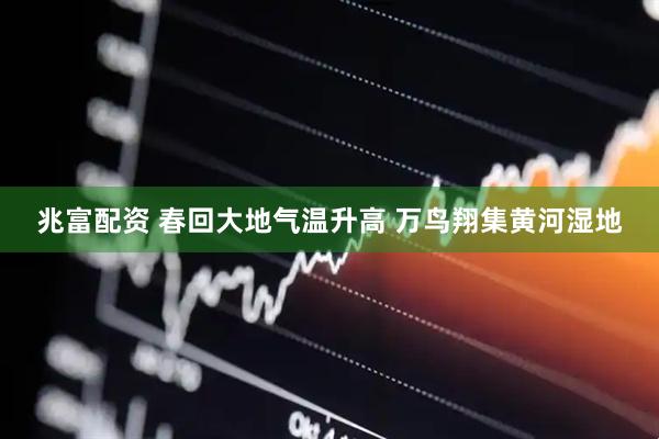 兆富配资 春回大地气温升高 万鸟翔集黄河湿地