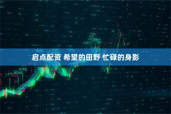 启点配资 希望的田野 忙碌的身影