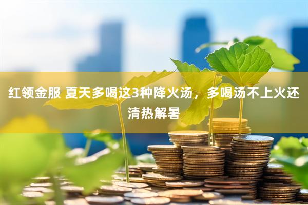红领金服 夏天多喝这3种降火汤，多喝汤不上火还清热解暑