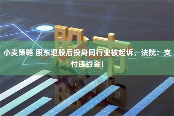 小麦策略 股东退股后投身同行业被起诉，法院：支付违约金！