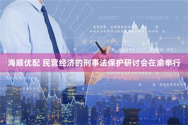 海顺优配 民营经济的刑事法保护研讨会在渝举行