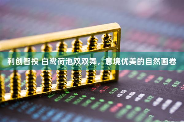 利创智投 白鹭荷池双双舞，意境优美的自然画卷