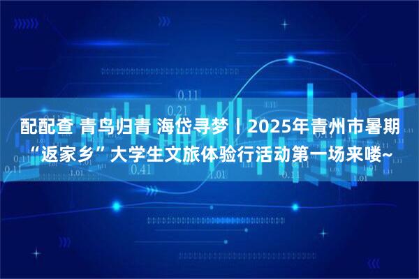 配配查 青鸟归青 海岱寻梦丨2025年青州市暑期“返家乡”大学生文旅体验行活动第一场来喽~