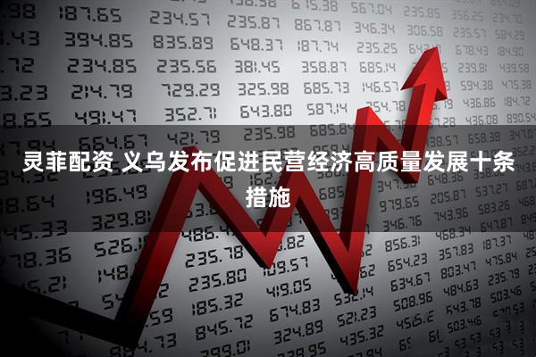 灵菲配资 义乌发布促进民营经济高质量发展十条措施
