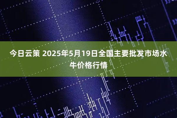 今日云策 2025年5月19日全国主要批发市场水牛价格行情