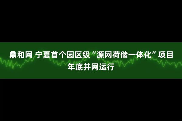 鼎和网 宁夏首个园区级“源网荷储一体化”项目年底并网运行