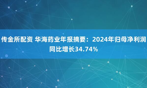 传金所配资 华海药业年报摘要：2024年归母净利润同比增长34.74%