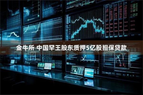 金牛所 中国罕王股东质押5亿股担保贷款